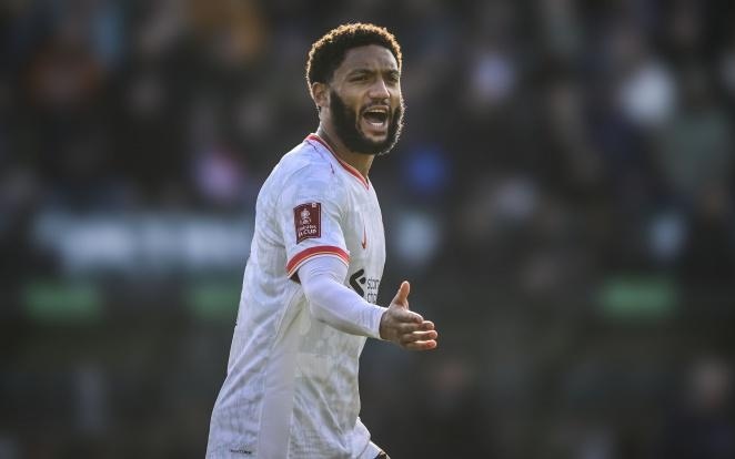 理层的信任 理层的信任